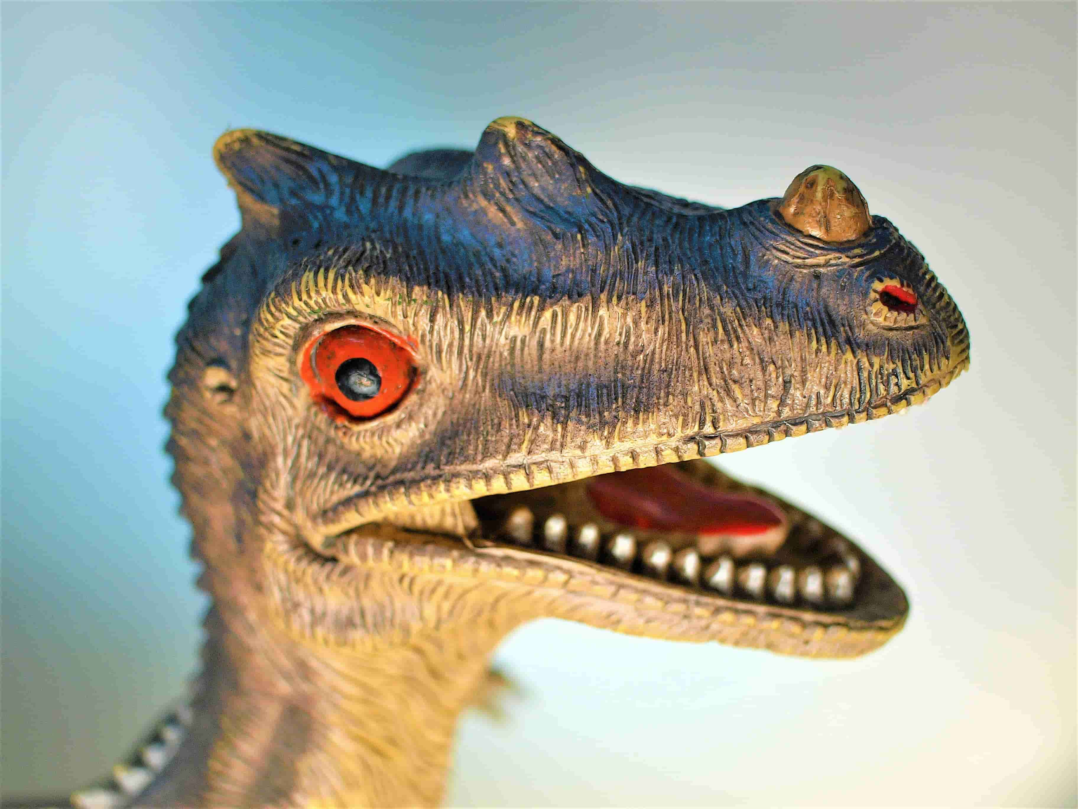 dinosaur