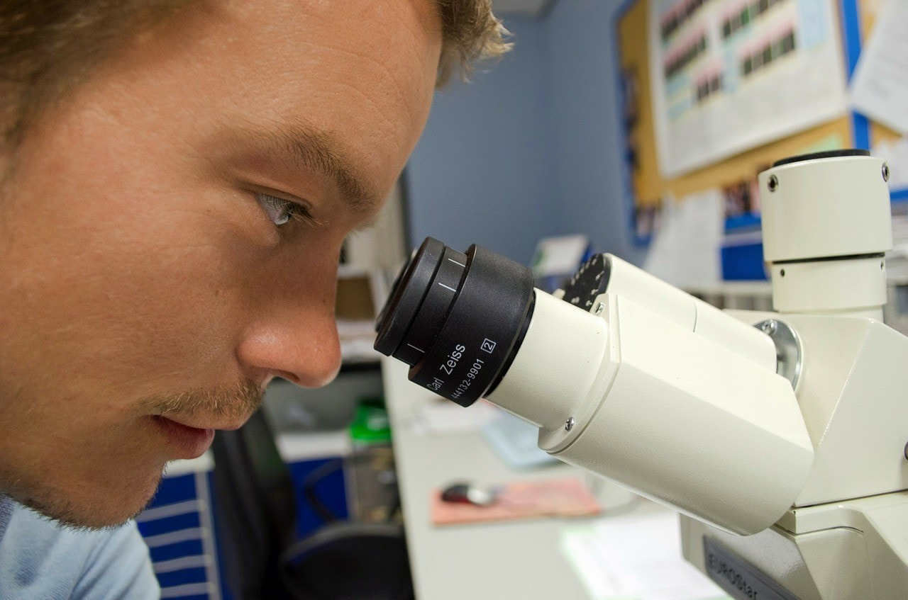 researchers